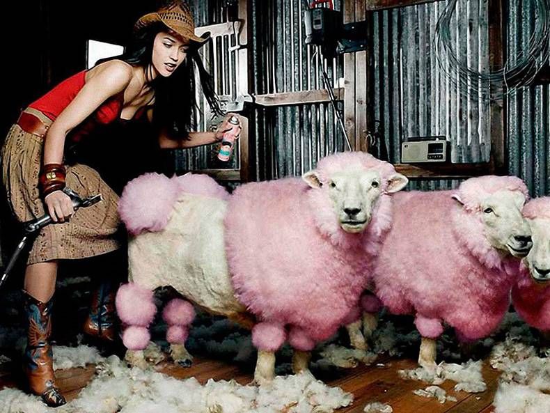 Gewoon een verzameling hilarische foto's #748
