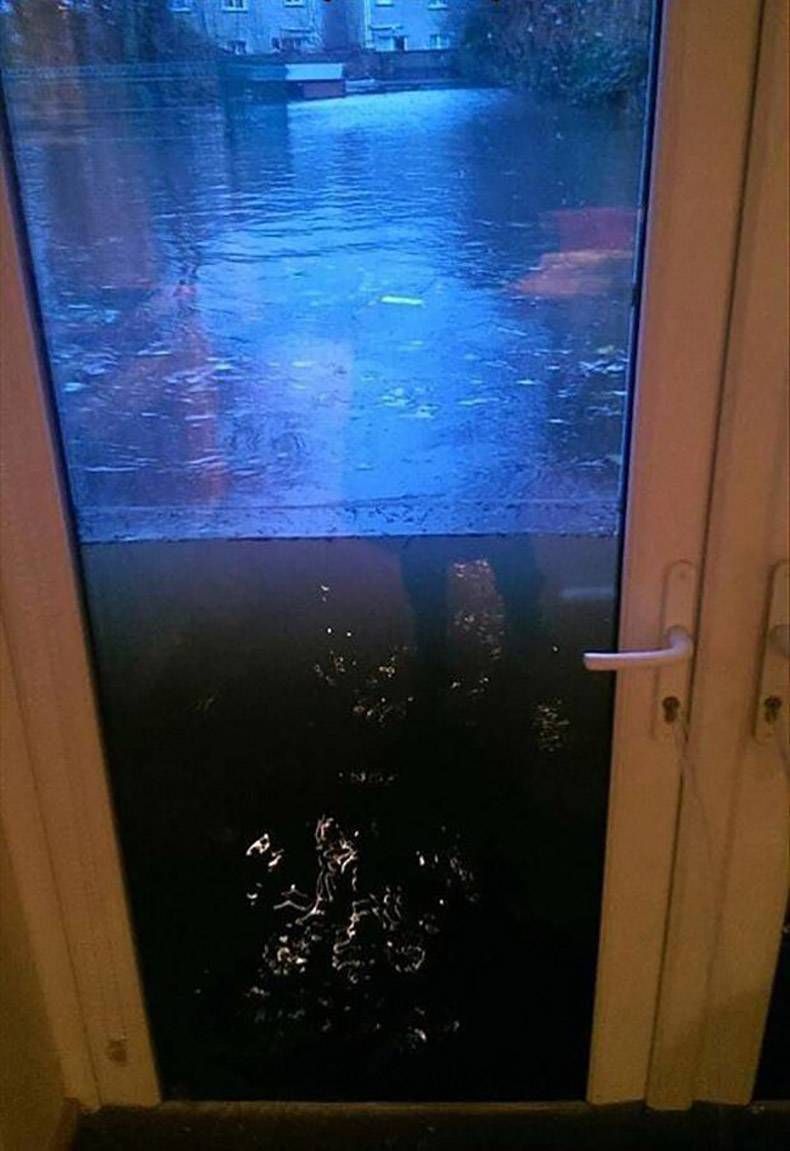 Gewoon een verzameling hilarische foto's #1333