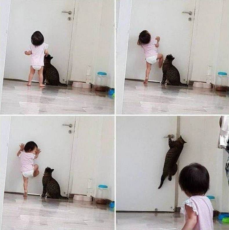 Gewoon een verzameling hilarische foto's #1136