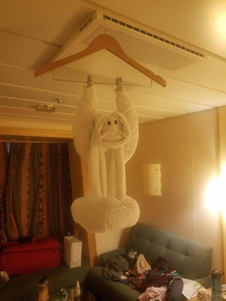 Gewoon een verzameling hilarische foto's #1099