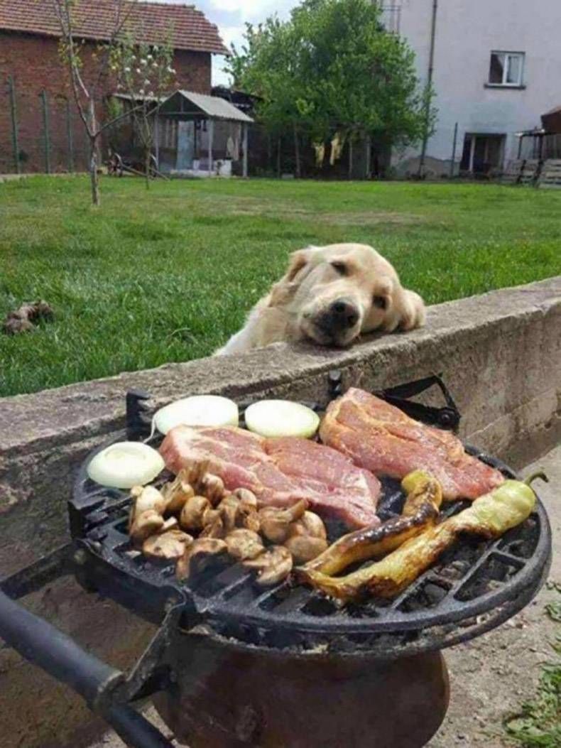 Gewoon een verzameling hilarische foto's #1073