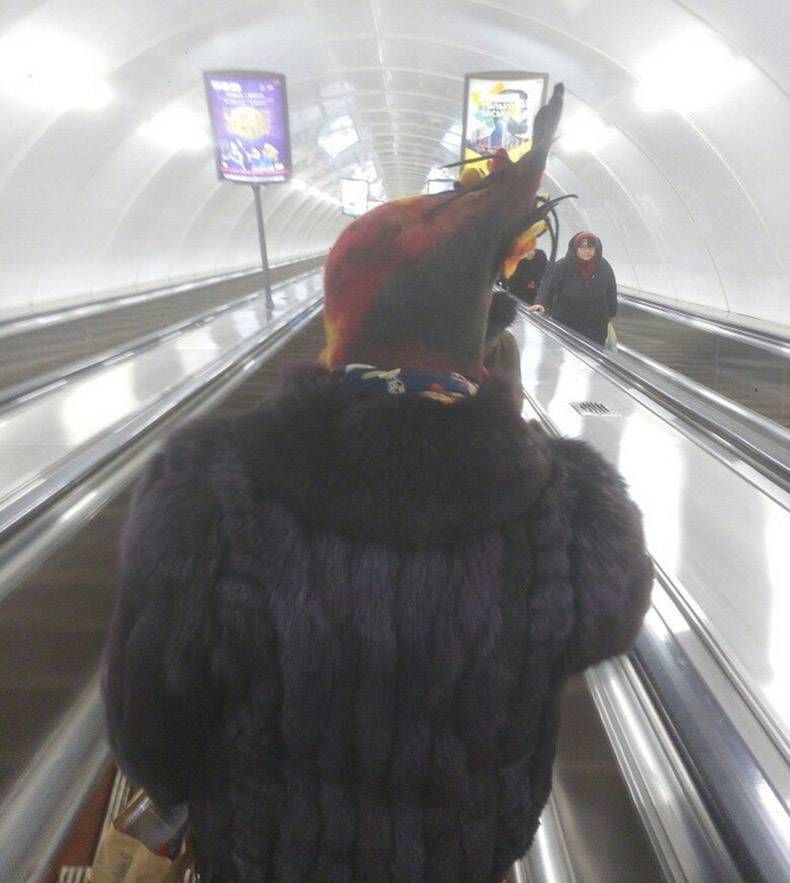 Gewoon een verzameling hilarische foto's #925