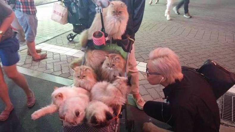 Gewoon een verzameling hilarische foto's #894