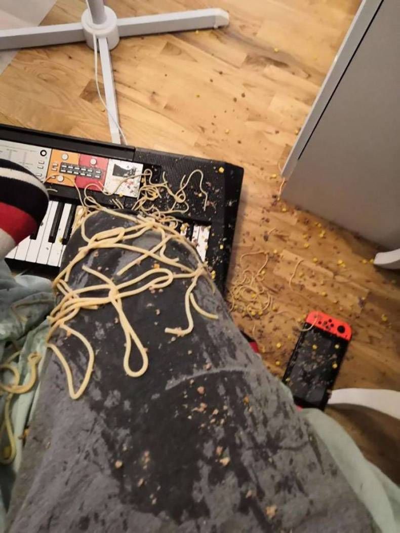 Gewoon een verzameling hilarische foto's #1267