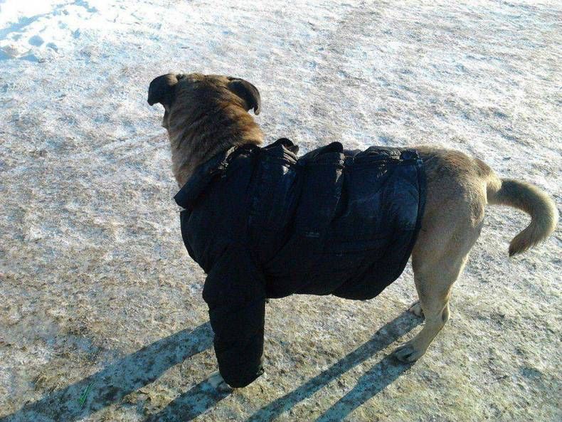 Gewoon een verzameling hilarische foto's #730