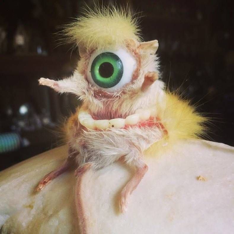Gewoon een verzameling hilarische foto's #715