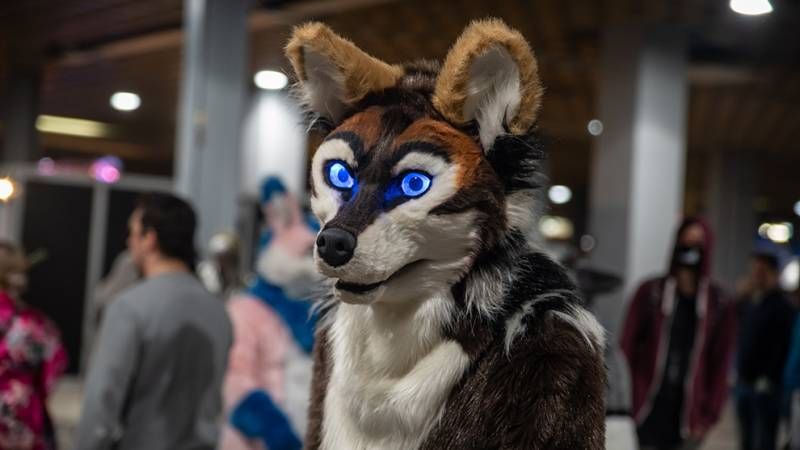 Foto's van Dutch Comic Con 2018 in de Jaarbeurs in Utrecht