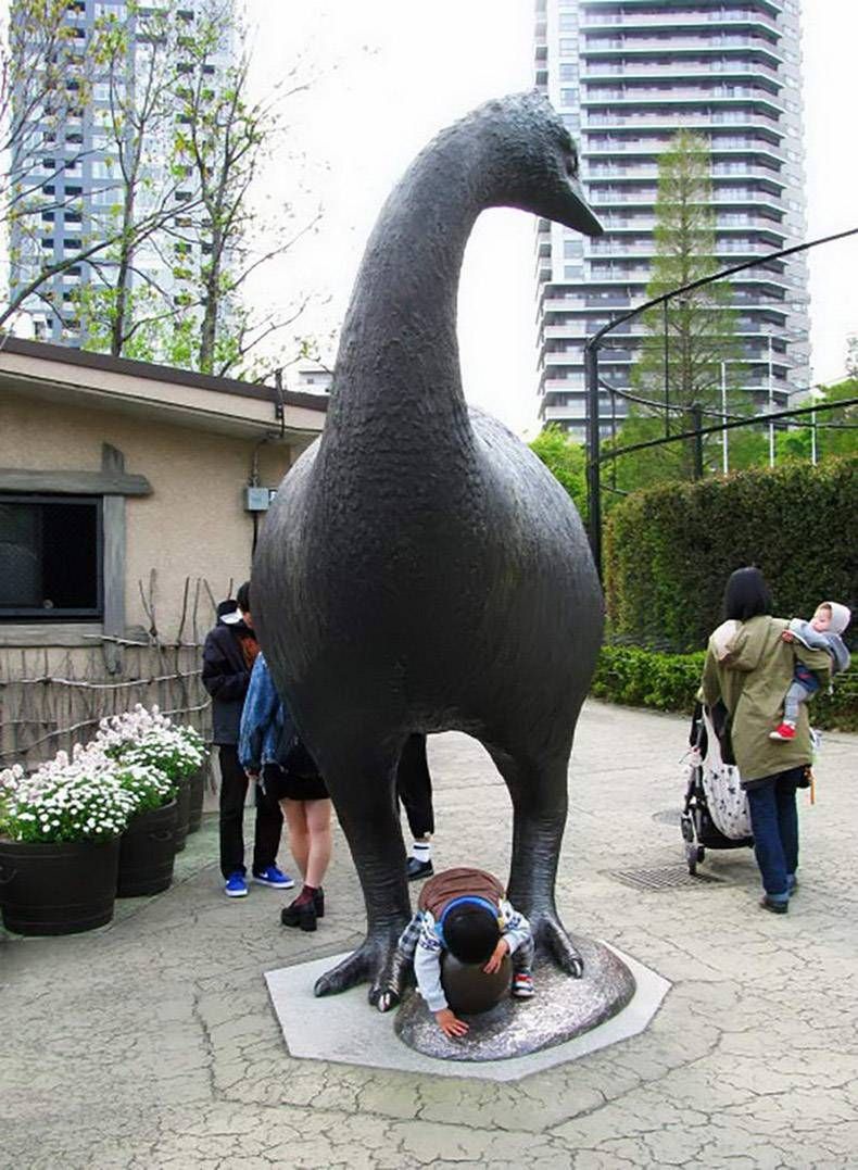 Gewoon een verzameling hilarische foto's #1297