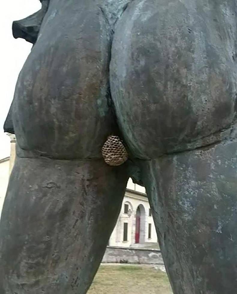 Gewoon een verzameling hilarische foto's #977