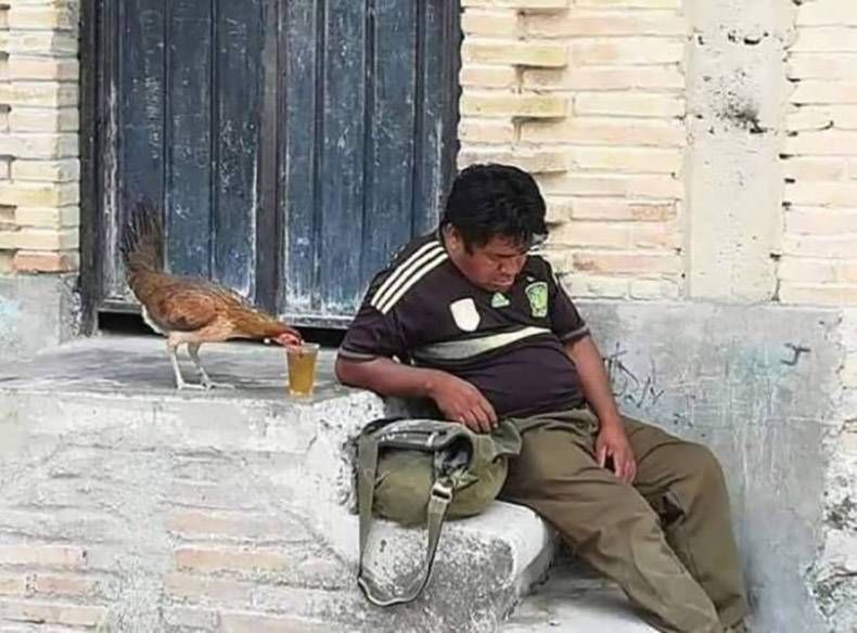 Gewoon een verzameling hilarische foto's #1235