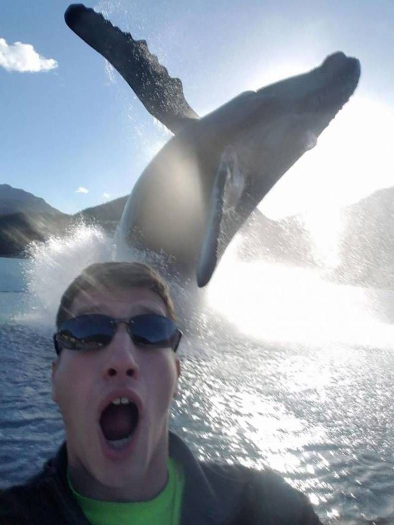 Gewoon een verzameling hilarische foto's #1215