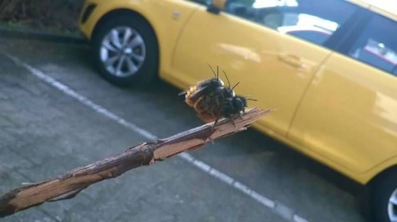 Gewoon een verzameling hilarische foto's #1148