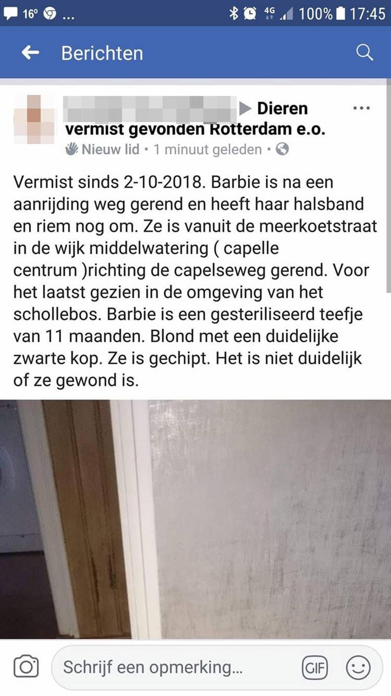 Gewoon een verzameling hilarische foto's #1031
