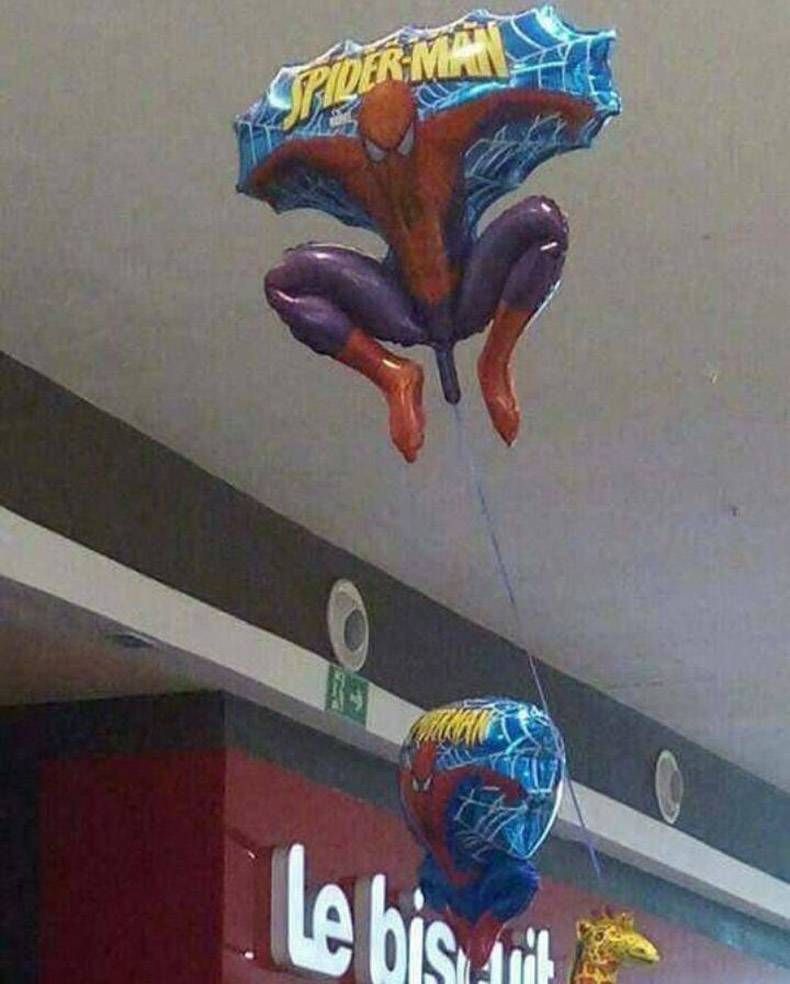 Gewoon een verzameling hilarische foto's #892
