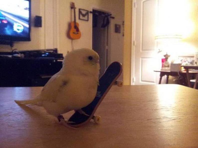 Gewoon een verzameling hilarische foto’s #780
