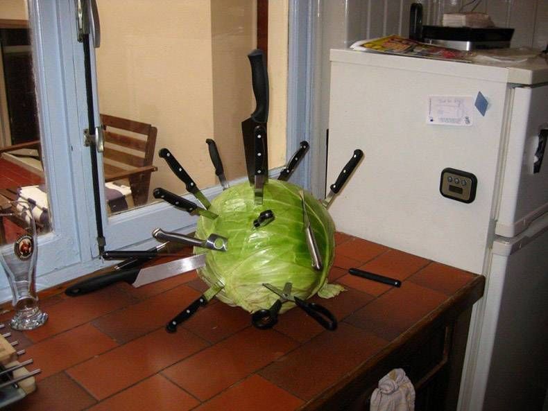 Gewoon een verzameling hilarische foto's #1001