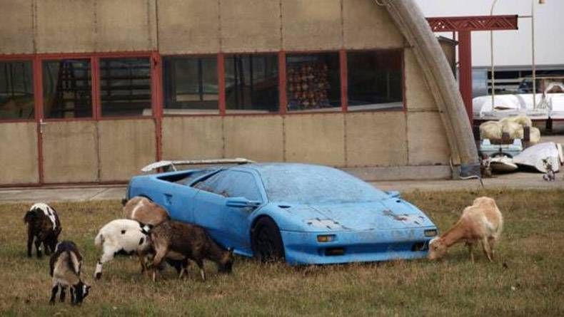 Gewoon een verzameling hilarische foto's #968