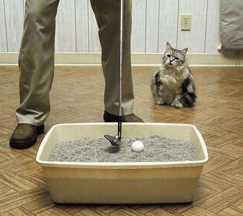 Gewoon een verzameling hilarische foto's #896