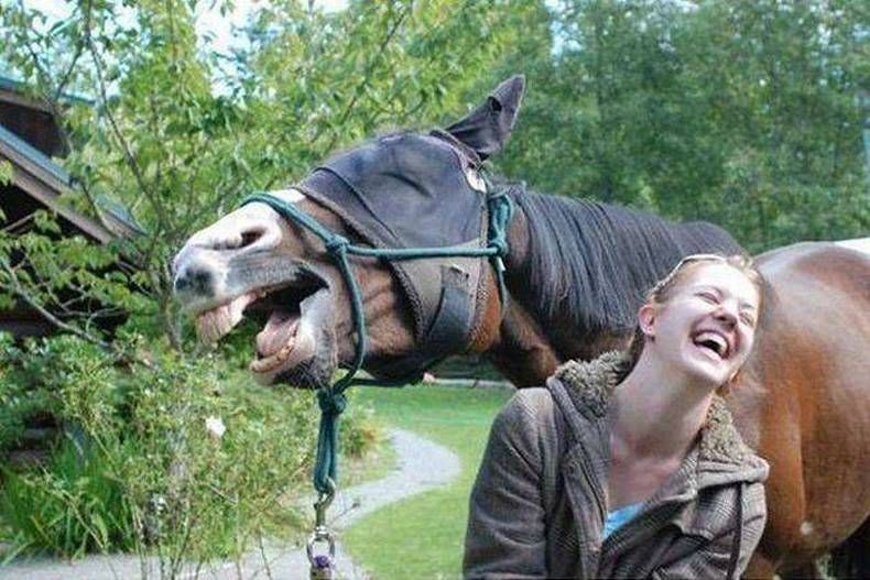 Gewoon een verzameling hilarische foto's #731