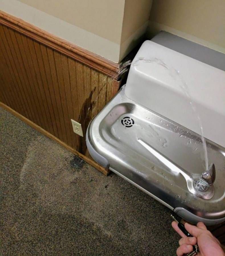 Gewoon een verzameling hilarische foto's #1367