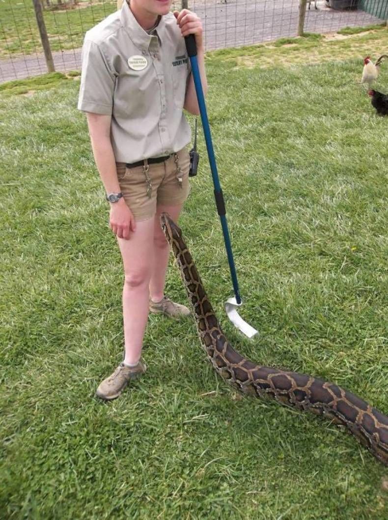 Gewoon een verzameling hilarische foto's #1280
