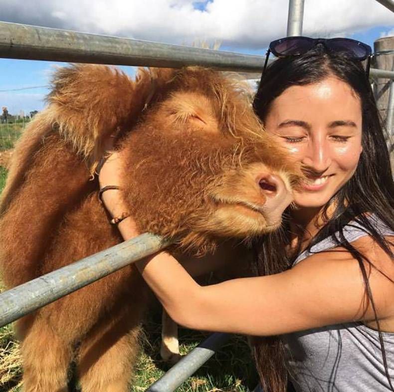 Gewoon een verzameling hilarische foto's #981