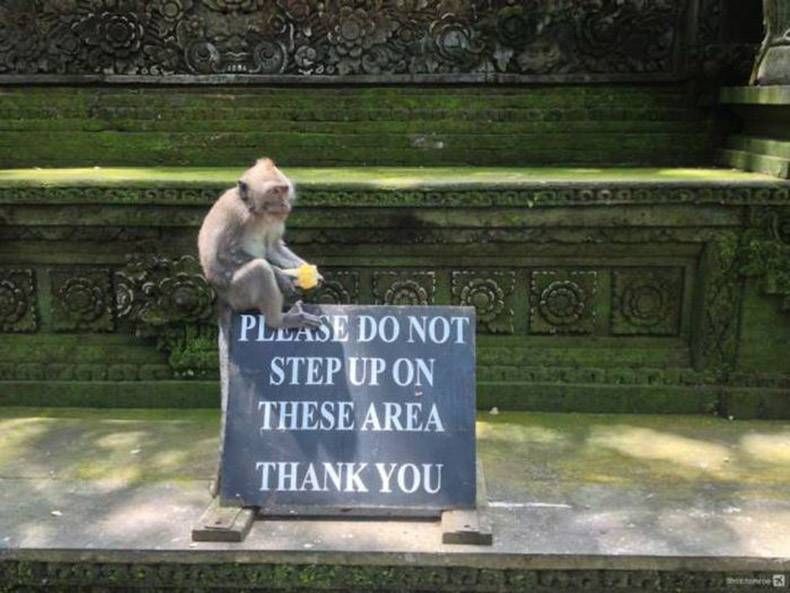 Gewoon een verzameling hilarische foto's #869