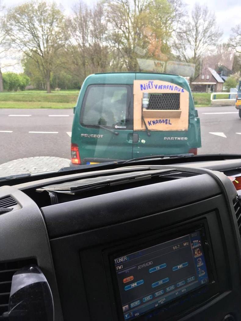 Gewoon een verzameling hilarische foto's #810