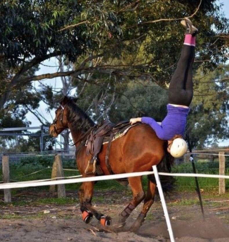 Gewoon een verzameling hilarische foto's #779