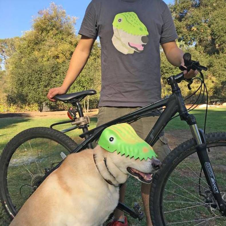 Gewoon een verzameling hilarische foto's #734