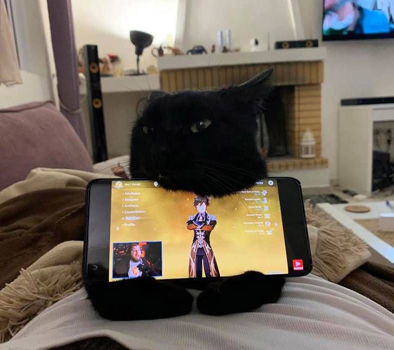 Gewoon een verzameling hilarische foto's #1373