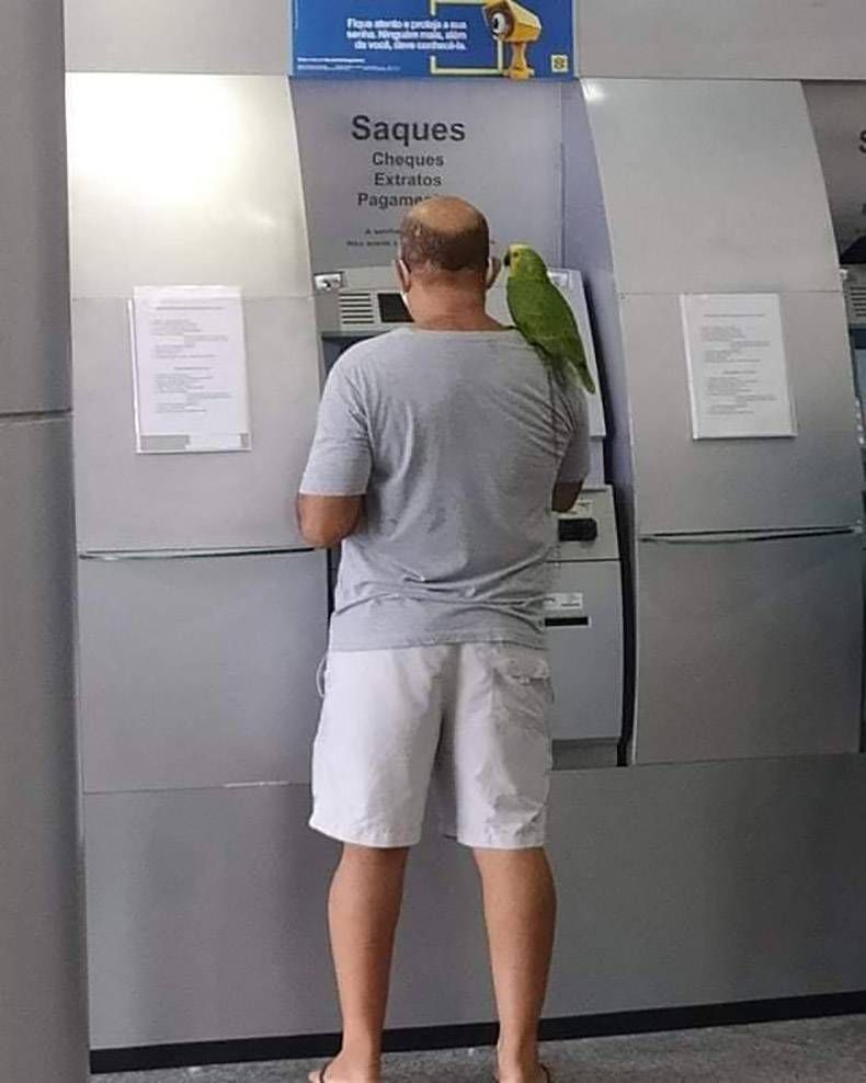 Gewoon een verzameling hilarische foto's #1292