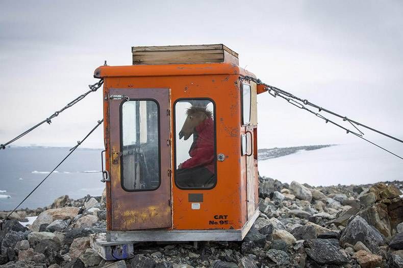 Gewoon een verzameling hilarische foto's #1076