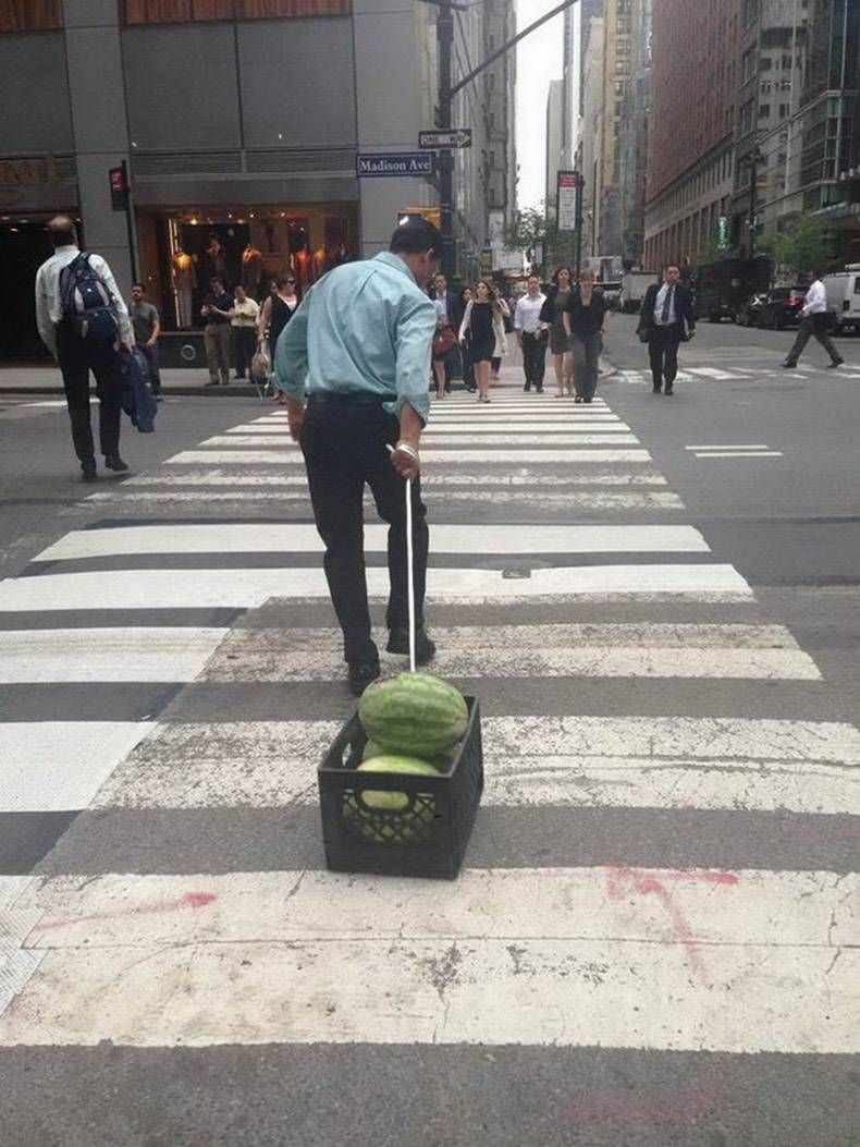 Gewoon een verzameling hilarische foto's #1025