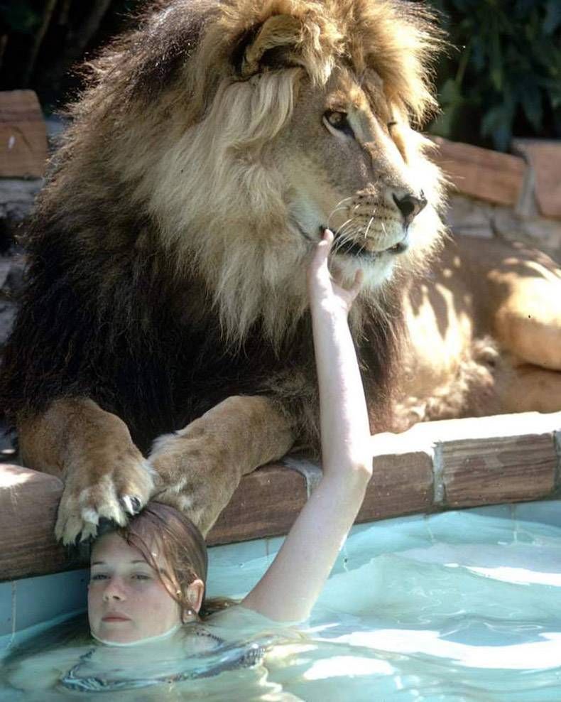 Gewoon een verzameling hilarische foto's #1008