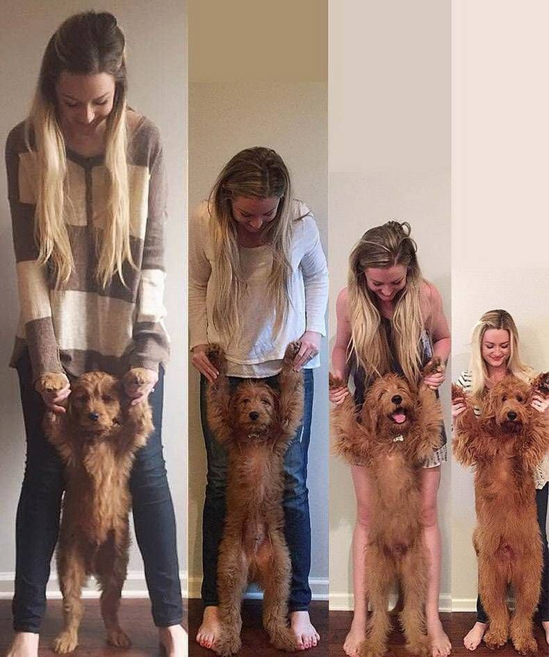 Gewoon een verzameling hilarische foto's #1092