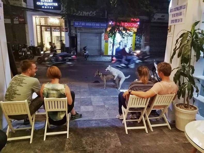 Gewoon een verzameling hilarische foto’s #1023