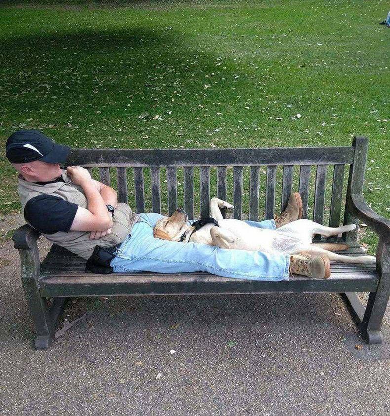 Gewoon een verzameling hilarische foto's #997