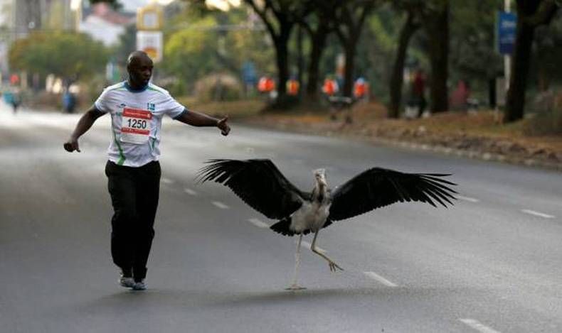 Gewoon een verzameling hilarische foto's #731