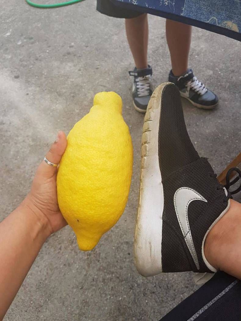 Gewoon een verzameling hilarische foto's #1216