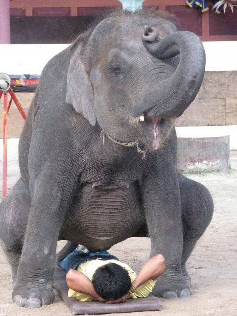 Gewoon een verzameling hilarische foto's #1104