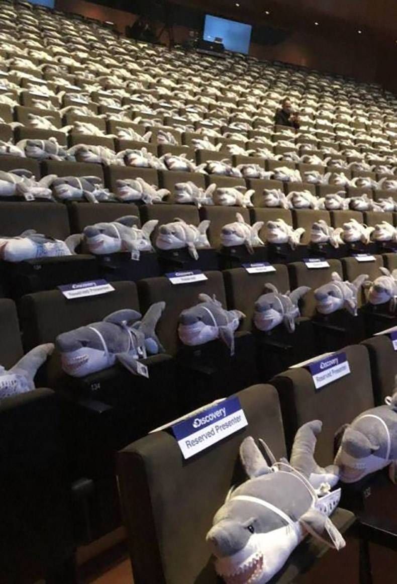 Gewoon een verzameling hilarische foto's #957
