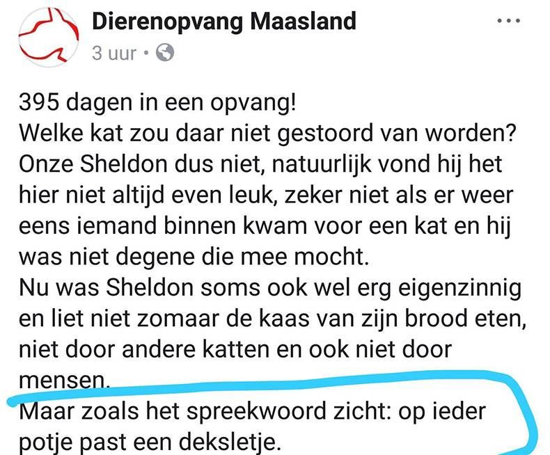 Gewoon een verzameling hilarische foto's #943
