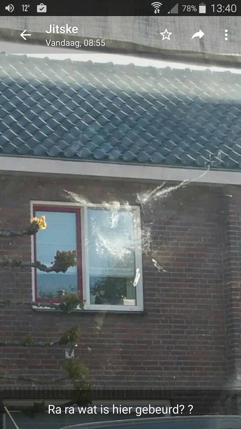 Gewoon een verzameling hilarische foto's #808