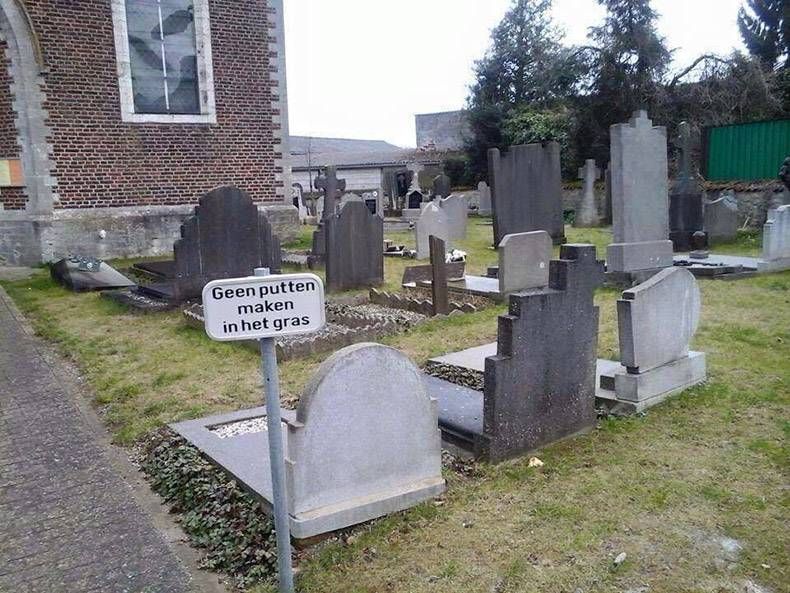 Gewoon een verzameling hilarische foto's #786