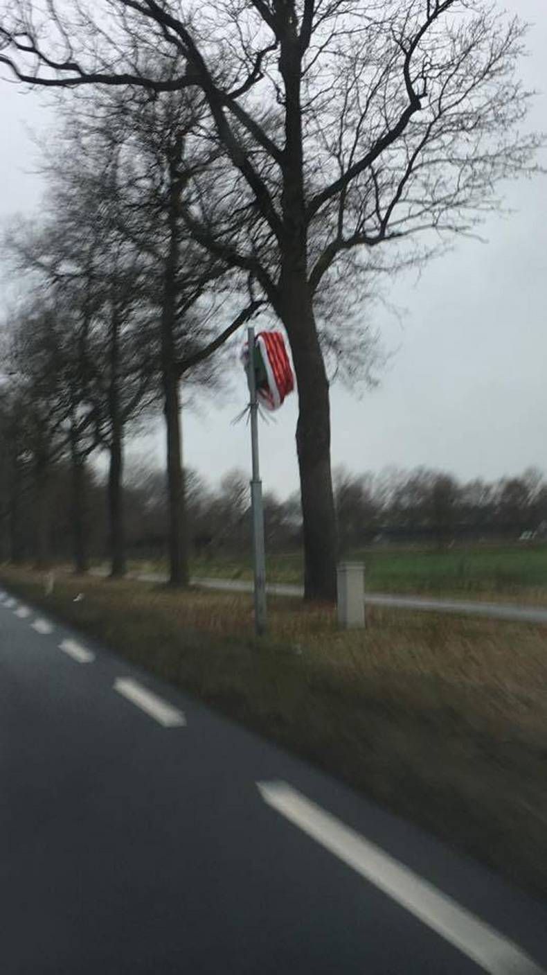 Gewoon een verzameling hilarische foto's #754