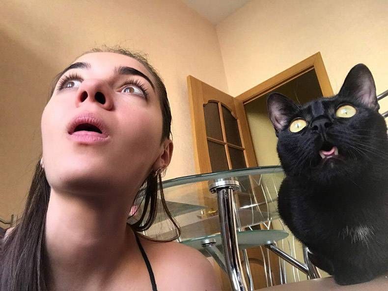Gewoon een verzameling hilarische foto's #1295