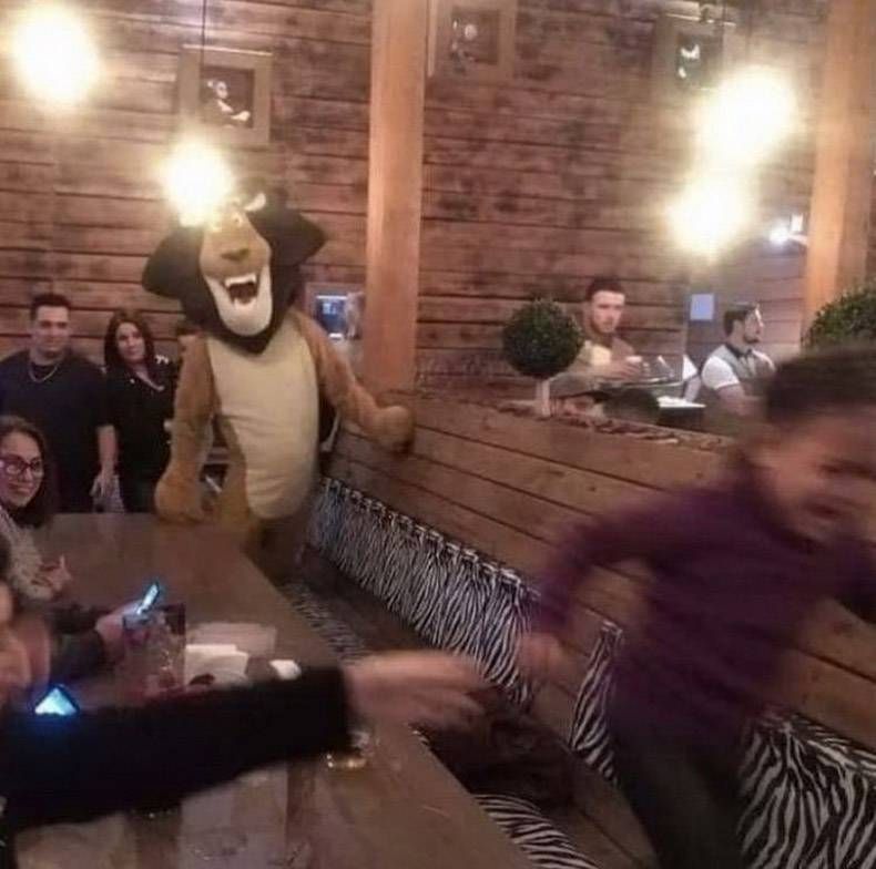 Gewoon een verzameling hilarische foto’s #1245