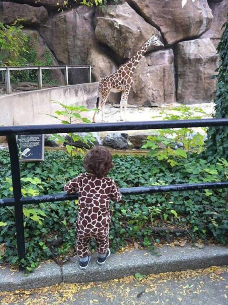 Gewoon een verzameling hilarische foto's #956