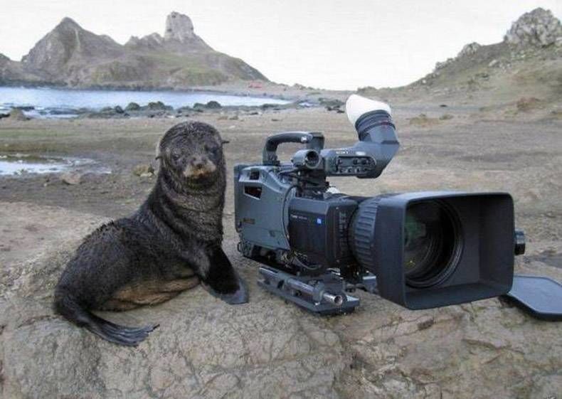 Gewoon een verzameling hilarische foto's #856